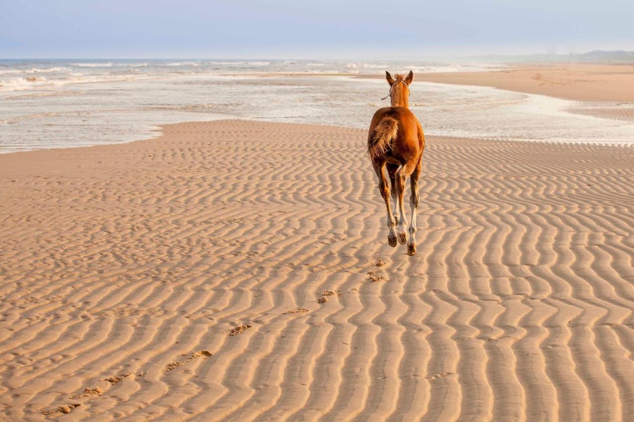 Vakantiehuisje Pluk 2 personen Zeezand Recreatie Stolpen Buitenkant foto